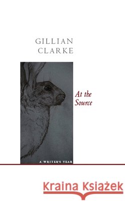 At the Source: A Writer's Year Gillian Clarke 9781857549867