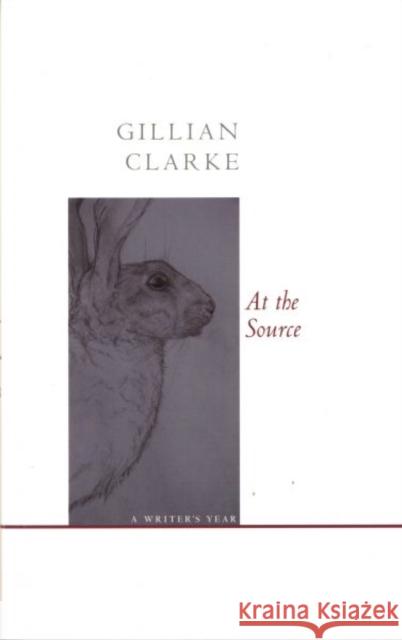 At the Source: A Writer's Year Clarke, Gillian 9781857549867 CARCANET PRESS LTD