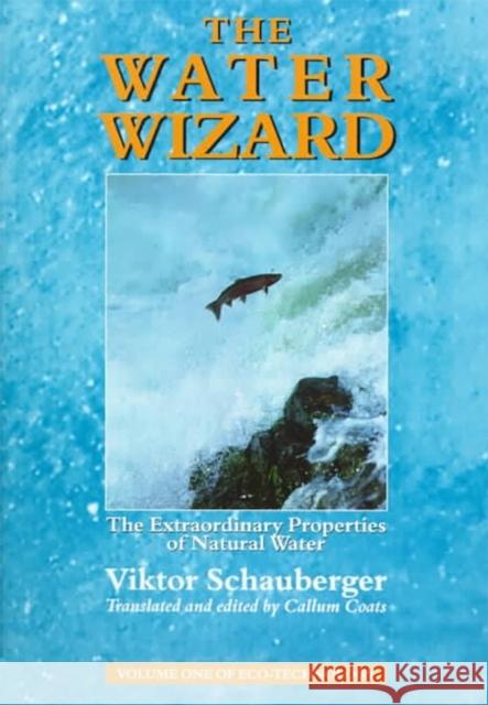 The Water Wizard: The Extraordinary Properties of Natural Water Viktor Schauberger 9781858600482