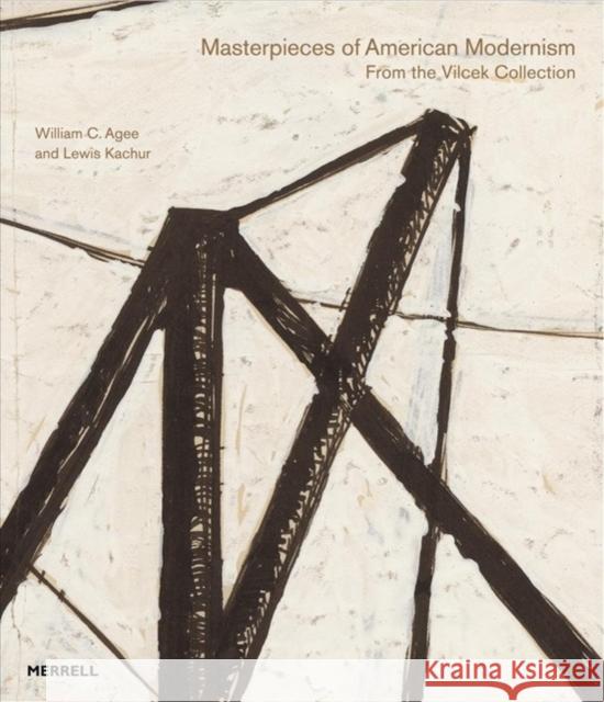 Masterpieces of American Modernism: From the Vilcek Collection Kachur, Lewis 9781858945958 0