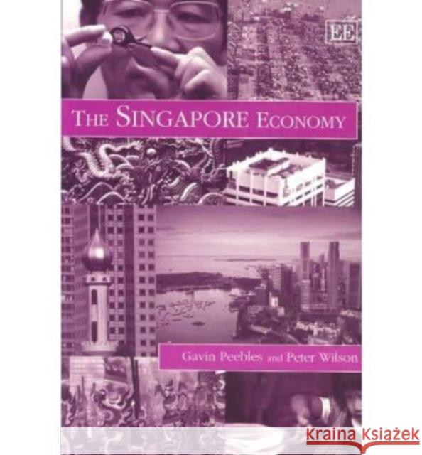 SINGAPORE ECONOMY Gavin Peebles Peter Wilson 9781858983899 EDWARD ELGAR PUBLISHING LTD