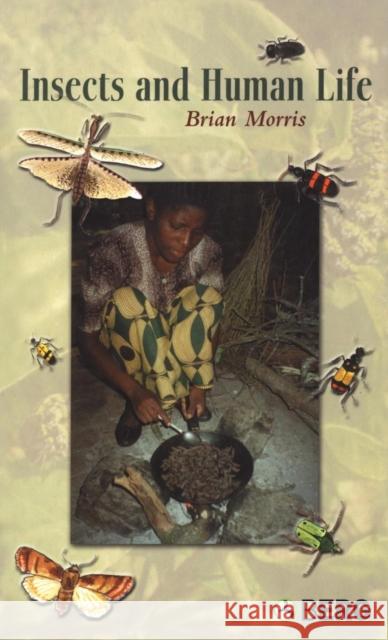 Insects and Human Life Brian Morris 9781859738474