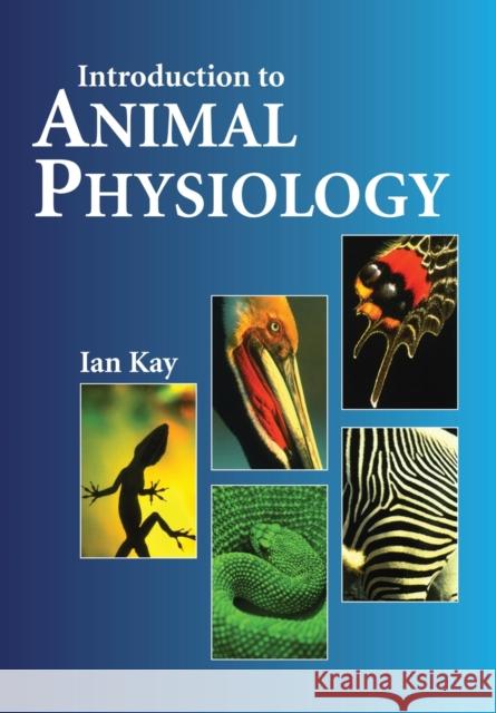 Introduction to Animal Physiology I. Kay Ian Kay Ian Ka 9781859960462 Garland Publishing