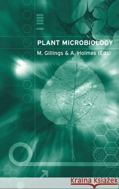 Plant Microbiology Michael Gillings Andrew Holmes Mark Gillings 9781859962244 BIOS Scientific Publishers