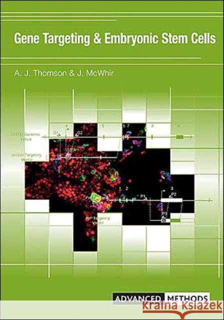 Gene Targeting and Embryonic Stem Cells Alison Thomson J. McWhir A. Thomson 9781859963609 BIOS Scientific Publishers