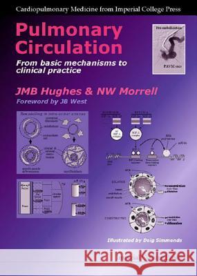 Pulmonary Circulation: From Basic Mechanisms to Clinical Practice J. M. B. Hughes 9781860942655 Imperial College Press