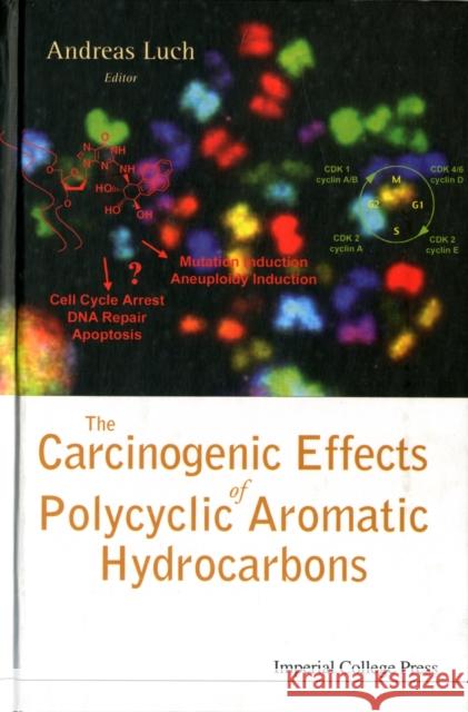 The Carcinogenic Effects of Polycyclic Aromatic Hydrocarbons Luch, Andreas 9781860944178 Imperial College Press