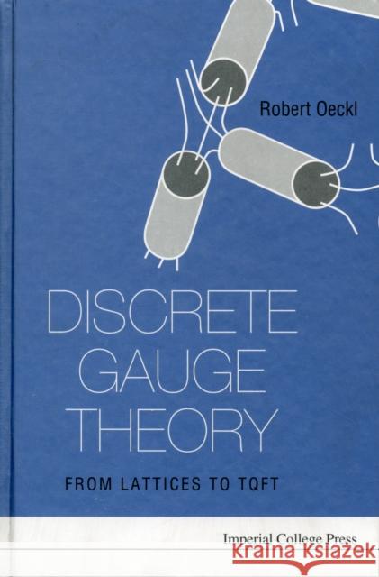 Discrete Gauge Theory: From Lattices to Tqft Oeckl, Robert 9781860945793 Imperial College Press