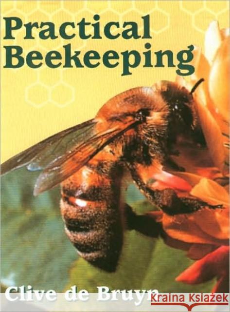 Practical Beekeeping Clive De Bruyn 9781861260499