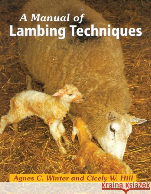 A Manual of Lambing Techniques Agnes C Winter 9781861265746