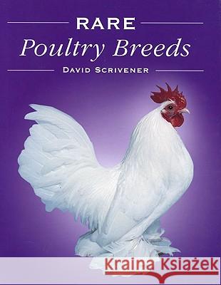 Rare Poultry Breeds David Scrivener 9781861268891