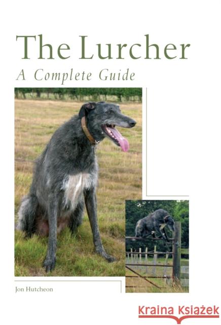 The Lurcher: A Complete Guide Jon Hutcheon 9781861269768