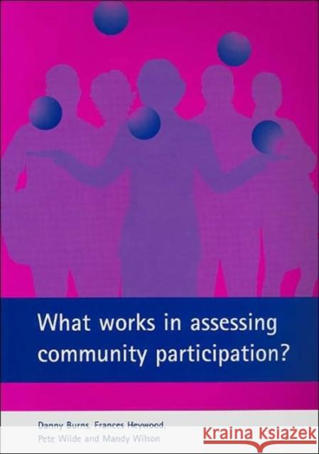 What Works in Assessing Community Participation? Burns, Danny 9781861346155 Policy Press