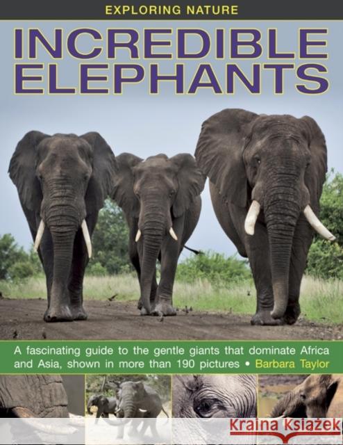 Exploring Nature: Incredible Elephants Barbara Taylor 9781861473288