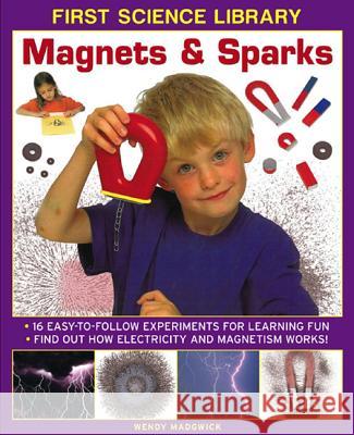 First Science Library: Magnets & Sparks Wendy Madgwick 9781861473523 
