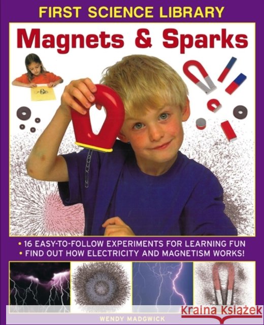 First Science Library: Magnets & Sparks Madgwick Wendy 9781861473523 0