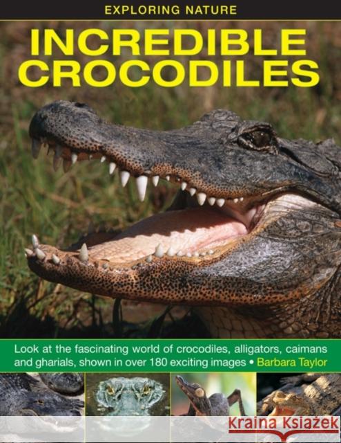 Exploring Nature: Incredible Crocodiles Barbara Taylor 9781861473677 Anness Publishing