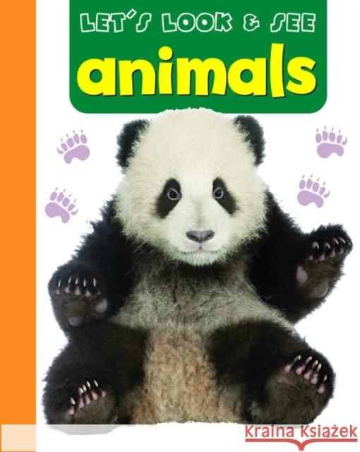Let's Look & See: Animals Armadillo 9781861473769 Armadillo Music