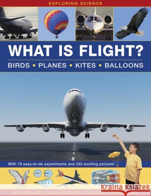 Exploring Science: What Is Flight? Mellett Peter 9781861474018 Armadillo Music