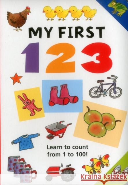 My First 123: Learn to Count from 1 to 100! Lewis, Jan 9781861474254 Armadillo