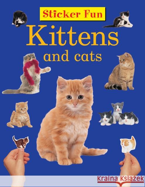 Sticker Fun - Kittens & Cats   9781861474308 Armadillo