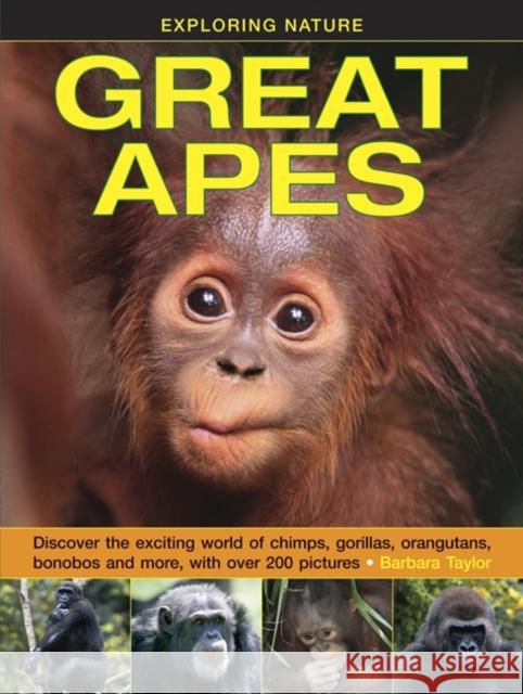 Exploring Nature: Great Apes Taylor Barbara 9781861474520