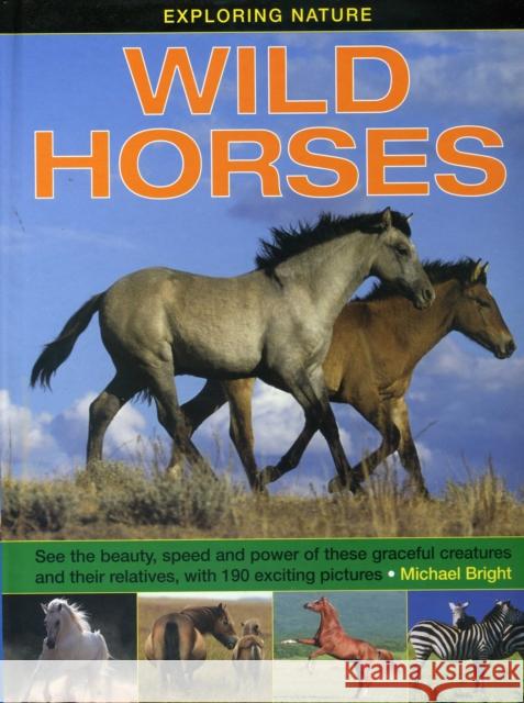 Exploring Nature: Wild Horses Bright Michael 9781861474643