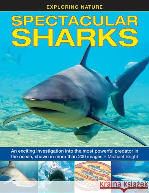 Exploring Nature: Spectacular Sharks Bright Michael 9781861474964 Armadillo Music