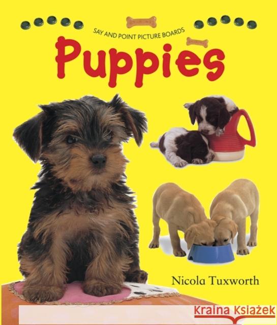 Puppies Nicola Tuxworth 9781861476319 Armadillo