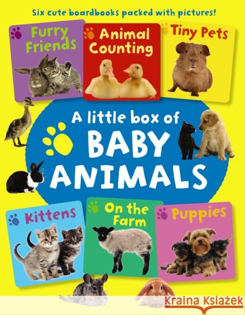 Little Box of Baby Animals Press Armadillo 9781861476395 Armadillo Music