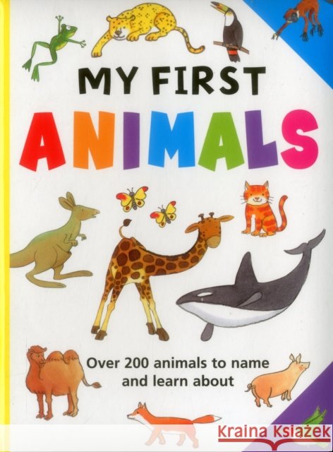 My First Animals Armadillo 9781861476524 Armadillo Music
