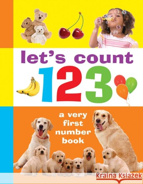 Let's Count 123 Armadillo 9781861476593 Anness Publishing