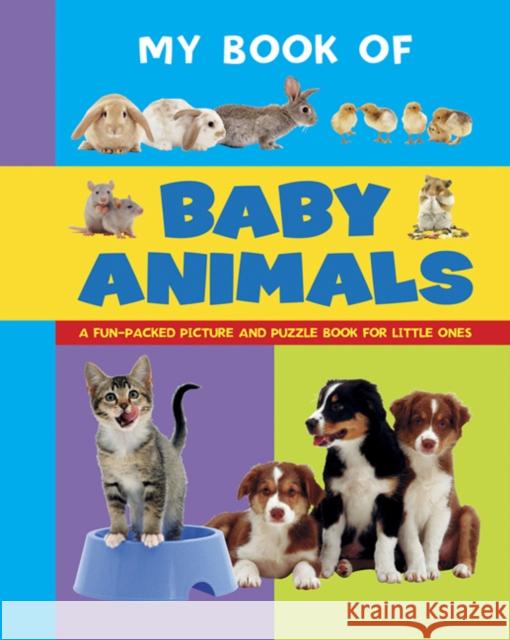 My Book of Baby Animals Armadillo 9781861476623