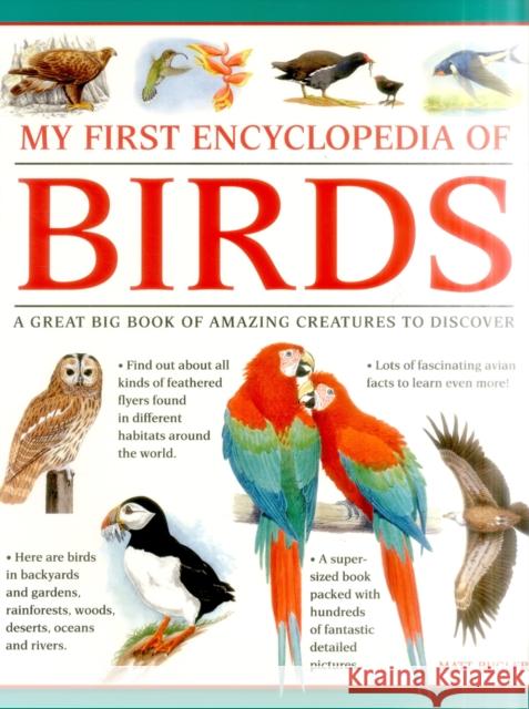 My First Encylopedia of Birds (giant Size) Bugler Matt 9781861478214 Armadillo Music