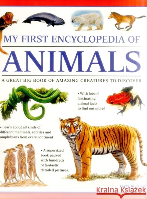 My First Encyclopedia of Animals (giant Size) Bugler Matt 9781861478221