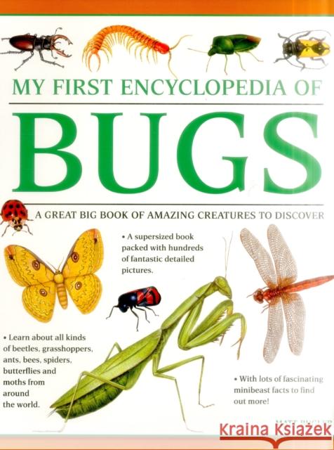 My First Encyclopedia of Bugs (giant Size) Bugler Matt 9781861478238 Anness Publishing