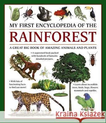 My First Encylopedia of the Rainforest: A Great Big Book of Amazing Animals and Plants Richard McGinlay 9781861478481 Armadillo Music