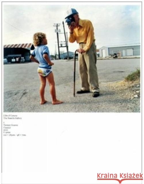 I am a Camera: the Saatchi Gallery Martin Maloney 9781861542052 Booth-Clibborn Editions