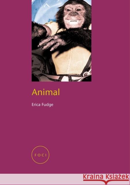 Animal Erica Fudge 9781861891341