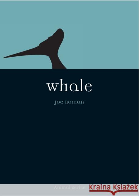 Whale Joseph Roman 9781861892461 Reaktion Books