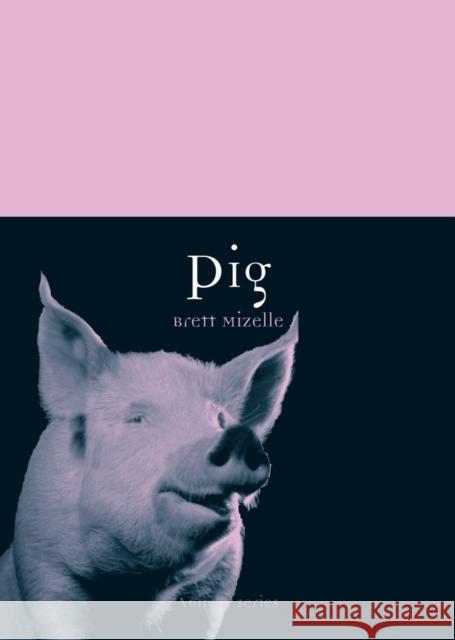Pig Brett Mizelle 9781861898050 Reaktion Books