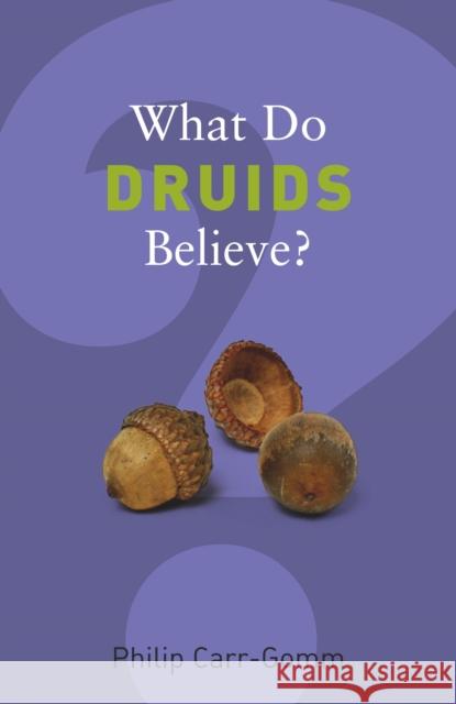 What Do Druids Believe? Philip Carr-Gomm 9781862078642 Granta Books