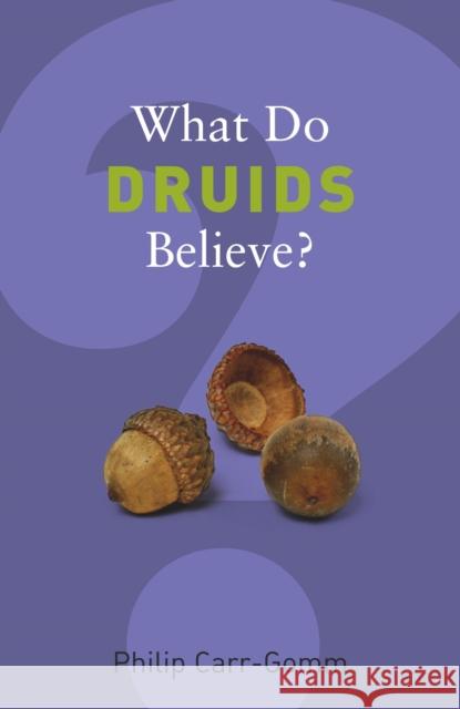 What Do Druids Believe? Philip Carr-Gomm 9781862078642