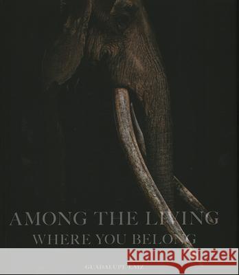 Among the Living: Where You Belong Laiz, Guadalupe 9781864709650 Images Publishing Group Pty Ltd