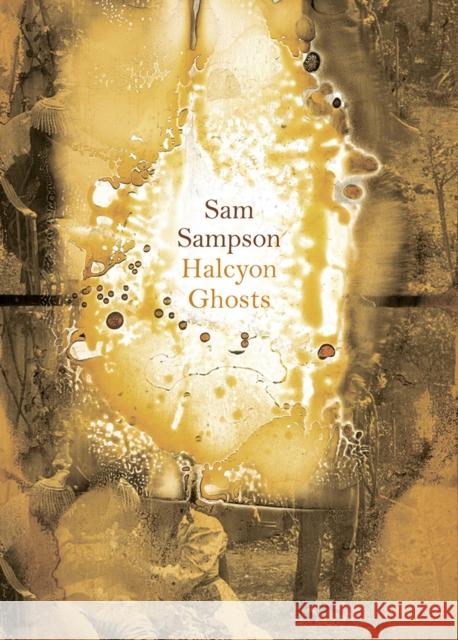 Halcyon Ghosts Sam Sampson 9781869408169 Auckland University Press