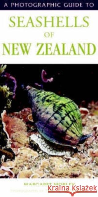 Photographic Guide To Seashells Of New Zealand Margaret Morley & Ian Anderson 9781869660444 Upstart Press Ltd