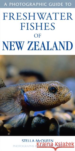 Photographic Guide To Freshwater Fishes Of New Zealand Stella McQueen & Rod Morris 9781869663865 Upstart Press Ltd