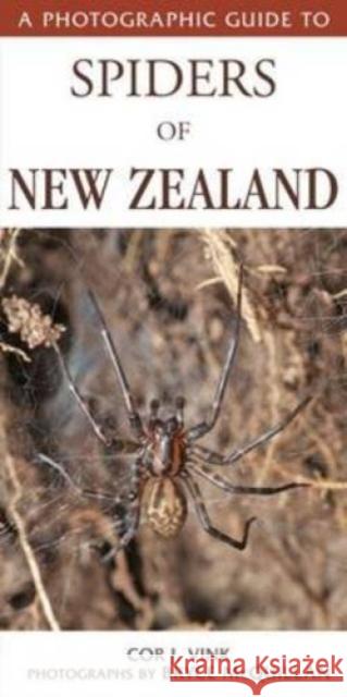 Photographic Guide To Spiders Of New Zealand Cor Vink 9781869664039