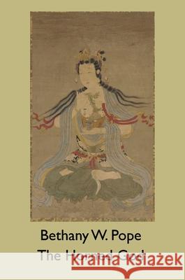 The Horned God Bethany W. Pope 9781869848439