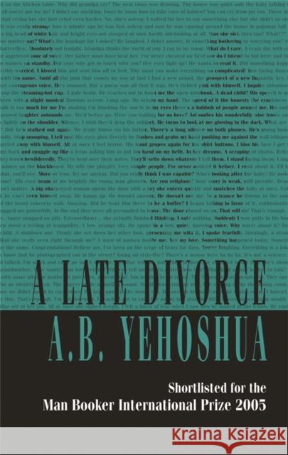 A Late Divorce A. B. Yehoshua 9781870015950